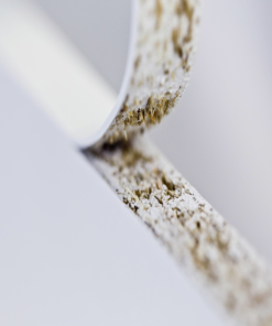 keo-hat-dan-canh-joinbond-2